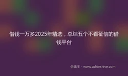 借钱一万多2025年精选，总结五个不看征信的借钱平台