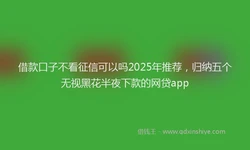 借款口子不看征信可以吗2025年推荐，归纳五个无视黑花半夜下款的网贷app