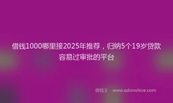 借钱1000哪里接2025年推荐，归纳5个19岁贷款容易过审批的平台