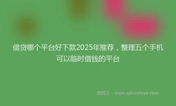 借贷哪个平台好下款2025年推荐，整理五个手机可以临时借钱的平台