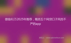 借钱61万2025年推荐，概括五个网贷口子风控不严的app