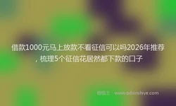 借款1000元马上放款不看征信可以吗2026年推荐，梳理5个征信花居然都下款的口子
