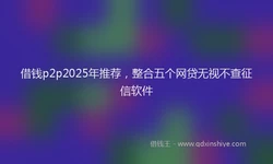 借钱p2p2025年推荐，整合五个网贷无视不查征信软件