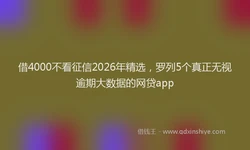 借4000不看征信2026年精选，罗列5个真正无视逾期大数据的网贷app