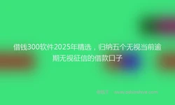 借钱300软件2025年精选，归纳五个无视当前逾期无视征信的借款口子