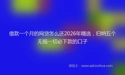 借款一个月的网贷怎么还2026年精选，归纳五个无视一切必下款的口子