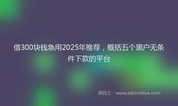 借300块钱急用2025年推荐，概括五个黑户无条件下款的平台