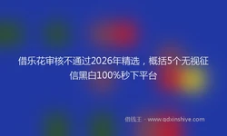 借乐花审核不通过2026年精选，概括5个无视征信黑白100%秒下平台