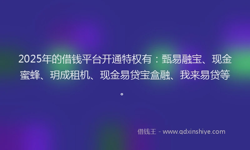 2025年的借钱平台开通特权有:甄易融宝、现金蜜蜂、玥成租机、现金易贷宝盒融、我来易贷等。