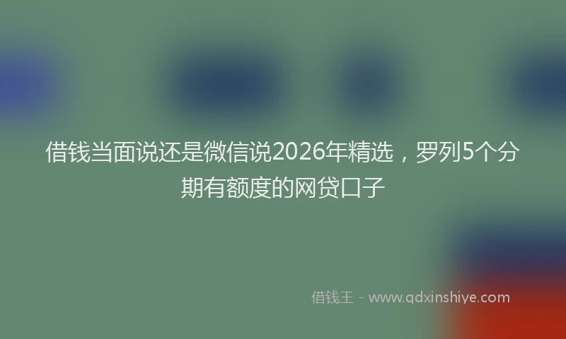 借钱当面说还是微信说2026年精选，罗列5个分期有额度的网贷口子