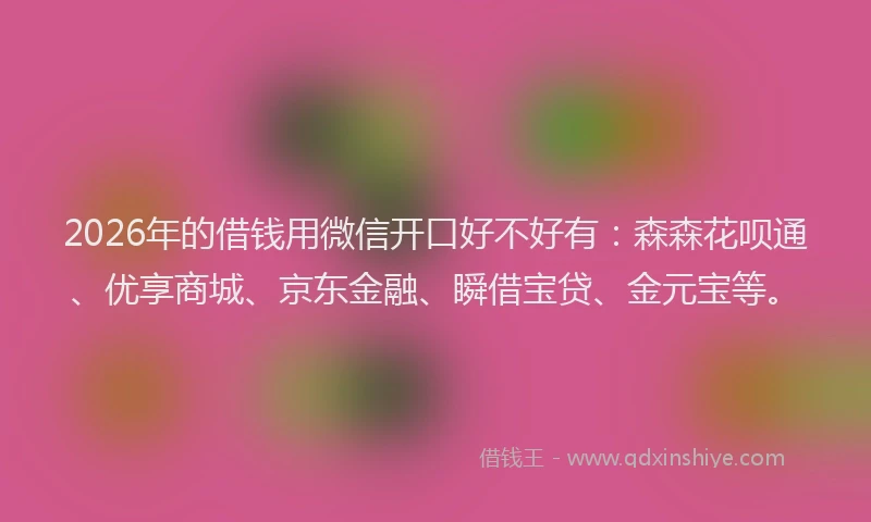 2026年的借钱用微信开口好不好有：森森花呗通、优享商城、京东金融、瞬借宝贷、金元宝等。