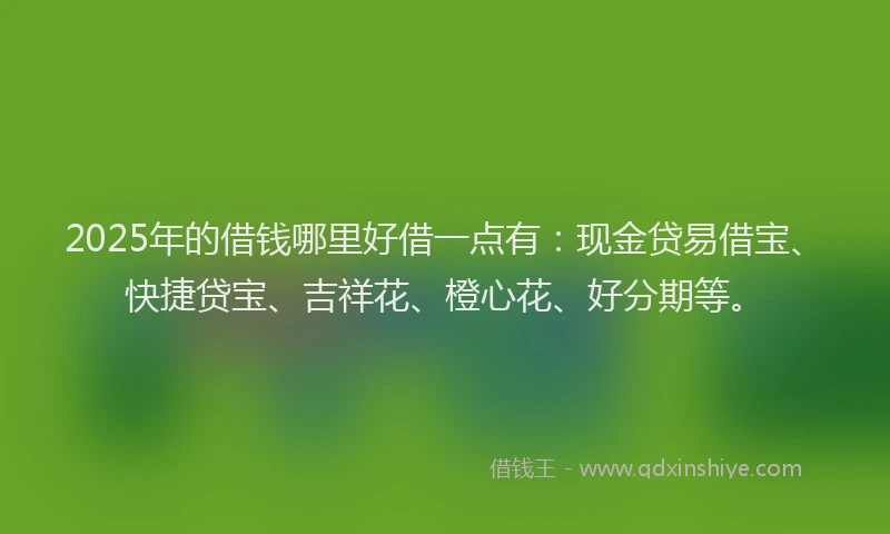 2025年的借钱哪里好借一点有：现金贷易借宝、快捷贷宝、吉祥花、橙心花、好分期等。