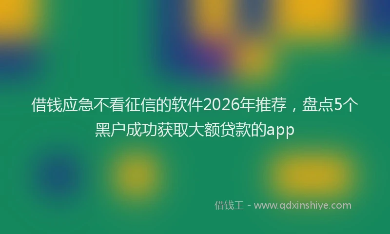 借钱应急不看征信的软件2026年推荐,盘点5个黑户成功获取大额贷款的app