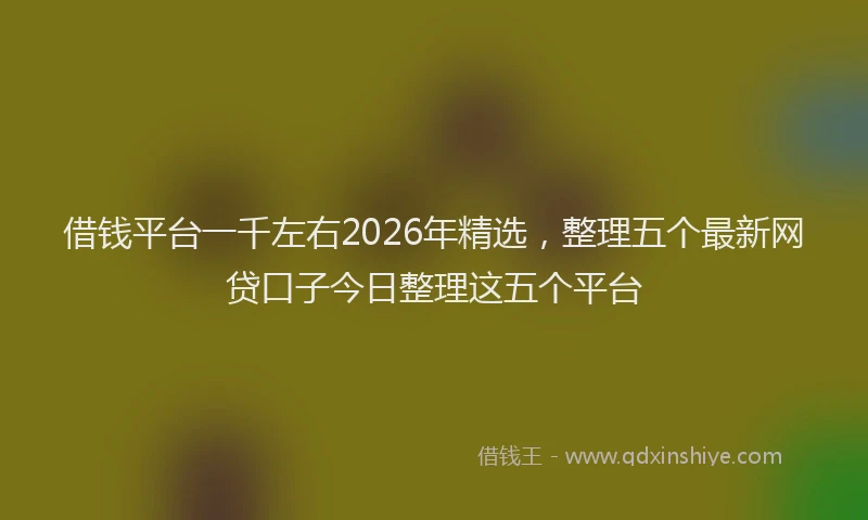借钱平台一千左右2026年精选,整理五个最新网贷口子今日整理这五个平台