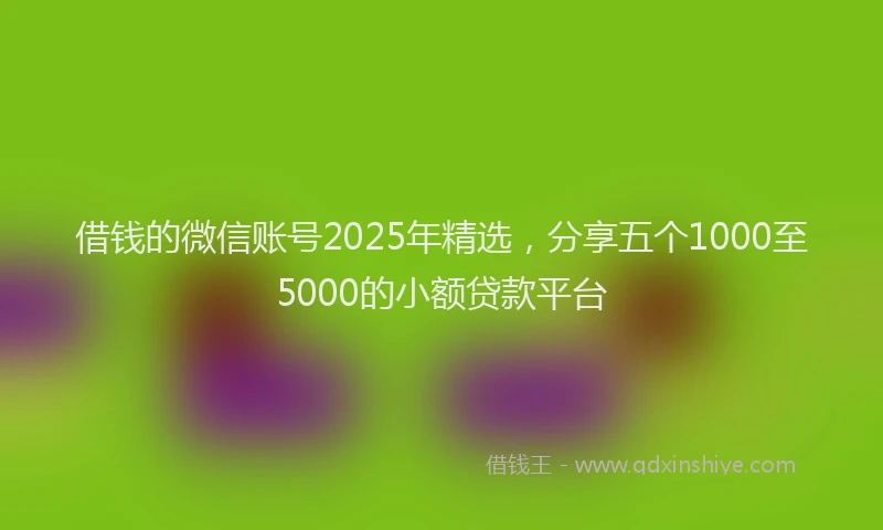 借钱的微信账号2025年精选,分享五个1000至5000的小额贷款平台