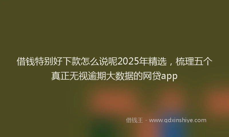 借钱特别好下款怎么说呢2025年精选，梳理五个真正无视逾期大数据的网贷app