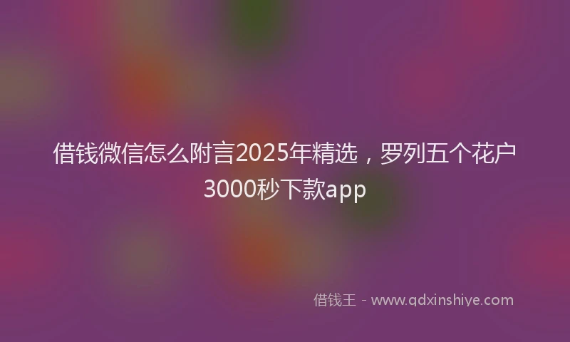 借钱微信怎么附言2025年精选,罗列五个花户3000秒下款app