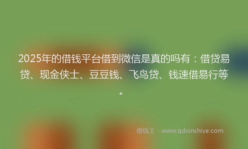 2025年的借钱平台借到微信是真的吗有:借贷易贷、现金侠士、豆豆钱、飞鸟贷、钱速借易行等。