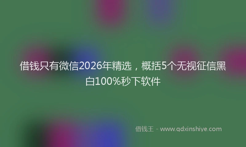 借钱只有微信2026年精选，概括5个无视征信黑白100%秒下软件