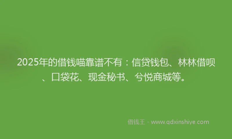 2025年的借钱喵靠谱不有：信贷钱包、林林借呗、口袋花、现金秘书、兮悦商城等。