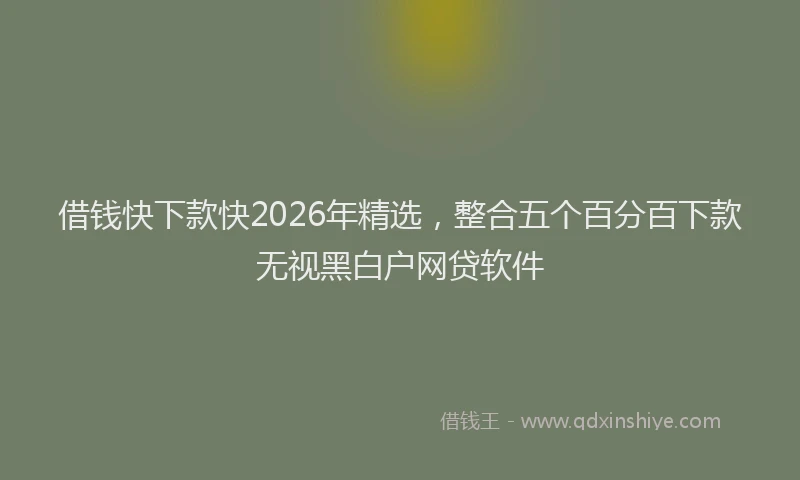 借钱快下款快2026年精选，整合五个百分百下款无视黑白户网贷软件