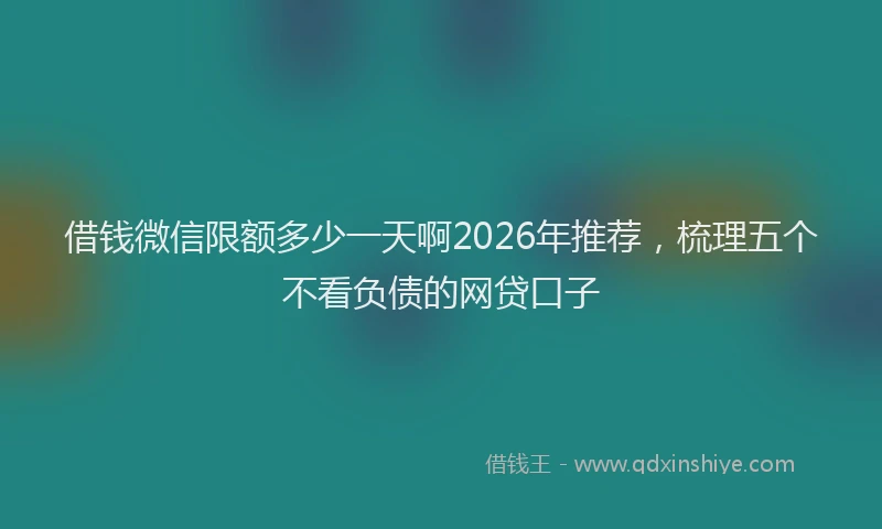 借钱微信限额多少一天啊2026年推荐,梳理五个不看负债的网贷口子