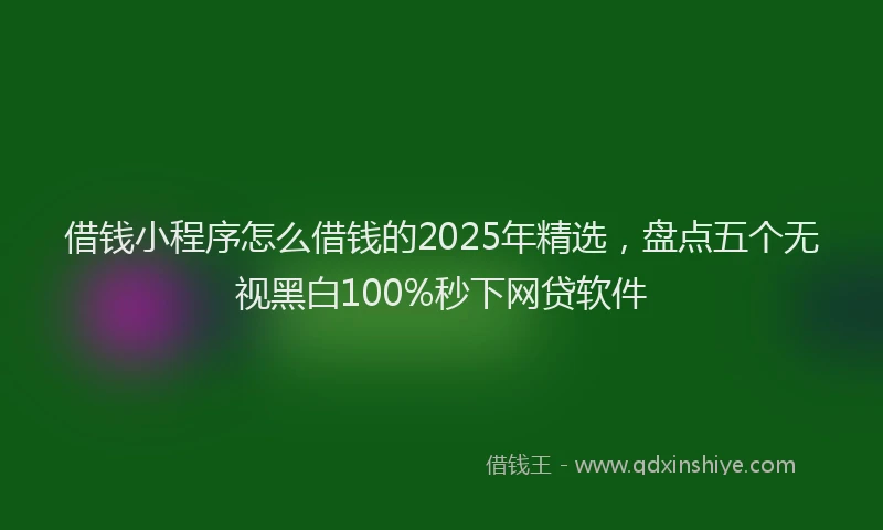 借钱小程序怎么借钱的2025年精选，盘点五个无视黑白100%秒下网贷软件