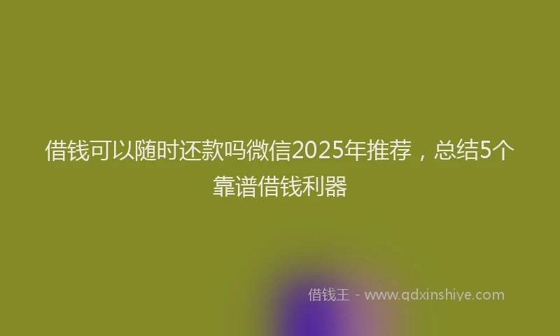 借钱可以随时还款吗微信2025年推荐，总结5个靠谱借钱利器