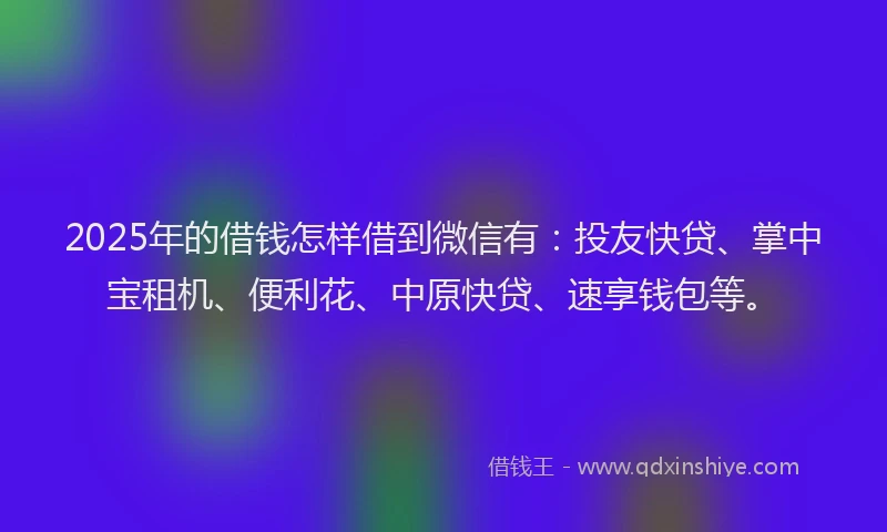 2025年的借钱怎样借到微信有：投友快贷、掌中宝租机、便利花、中原快贷、速享钱包等。