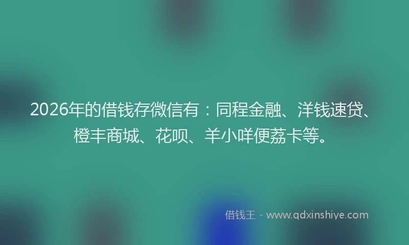 2026年的借钱存微信有：同程金融、洋钱速贷、橙丰商城、花呗、羊小咩便荔卡等。