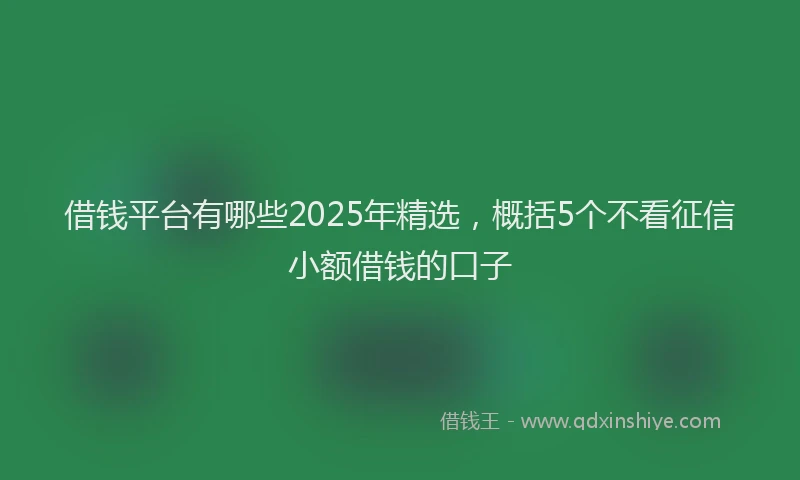 借钱平台有哪些2025年精选,概括5个不看征信小额借钱的口子