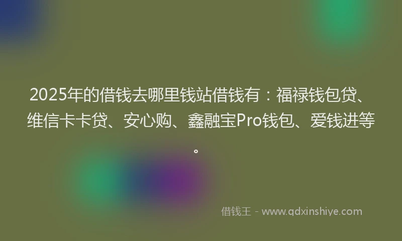 2025年的借钱去哪里钱站借钱有：福禄钱包贷、维信卡卡贷、安心购、鑫融宝Pro钱包、爱钱进等。