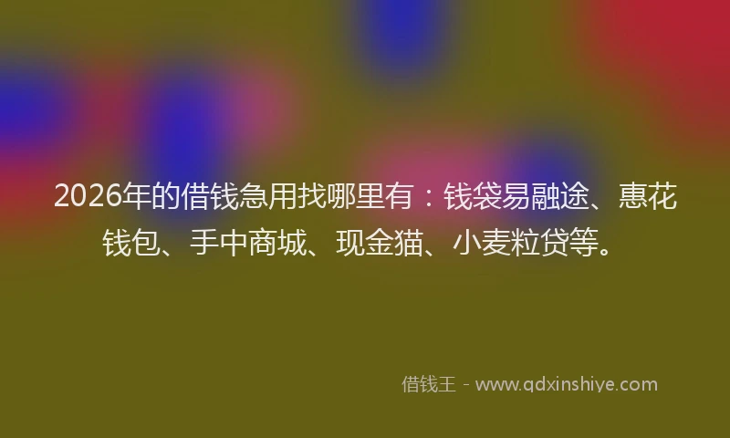 2026年的借钱急用找哪里有:钱袋易融途、惠花钱包、手中商城、现金猫、小麦粒贷等。