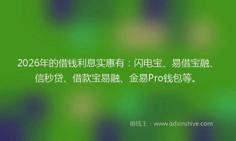 2026年的借钱利息实惠有：闪电宝、易借宝融、信秒贷、借款宝易融、金易Pro钱包等。