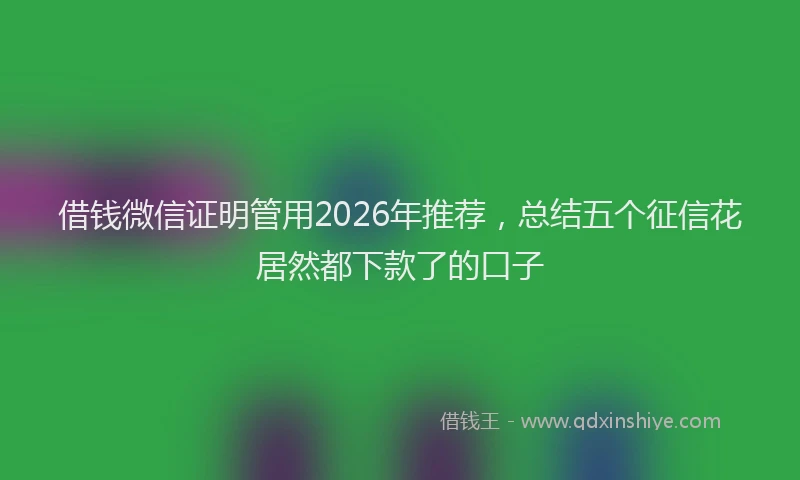借钱微信证明管用2026年推荐，总结五个征信花居然都下款了的口子