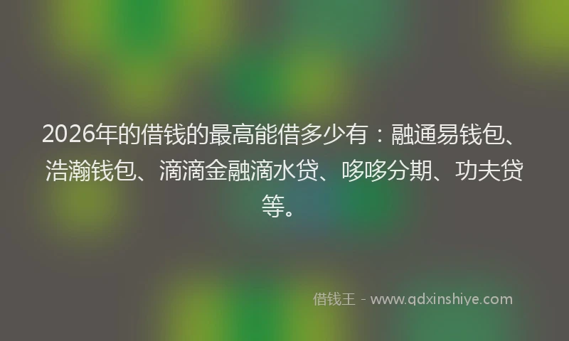 2026年的借钱的最高能借多少有：融通易钱包、浩瀚钱包、滴滴金融滴水贷、哆哆分期、功夫贷等。