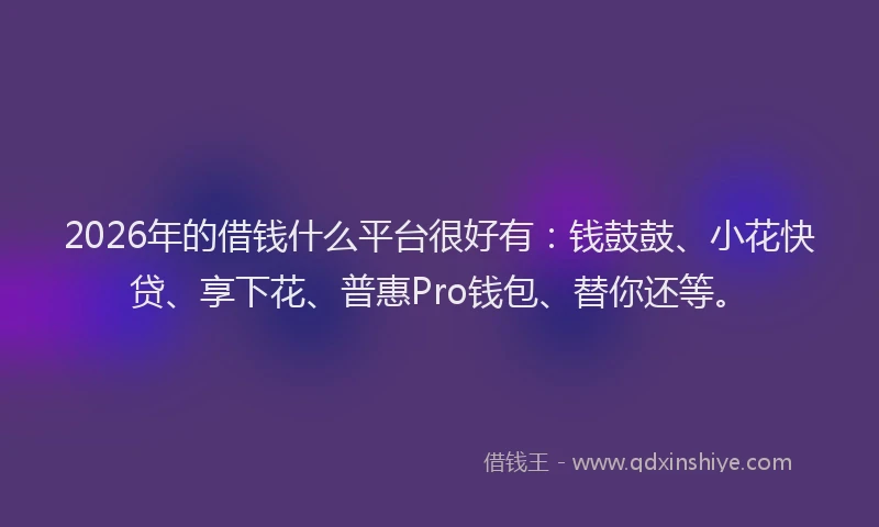 2026年的借钱什么平台很好有：钱鼓鼓、小花快贷、享下花、普惠Pro钱包、替你还等。