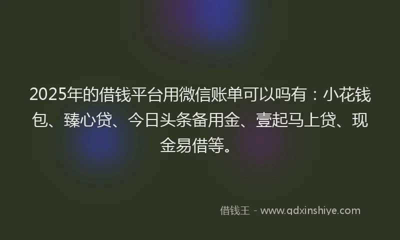 2025年的借钱平台用微信账单可以吗有：小花钱包、臻心贷、今日头条备用金、壹起马上贷、现金易借等。