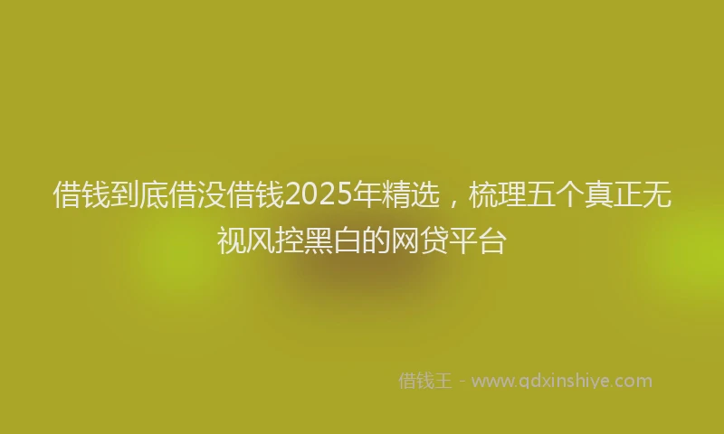 借钱到底借没借钱2025年精选,梳理五个真正无视风控黑白的网贷平台