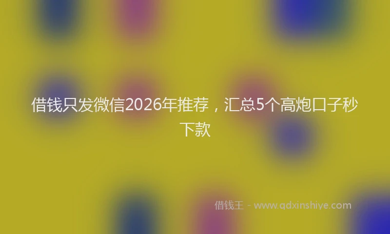 借钱只发微信2026年推荐，汇总5个高炮口子秒下款