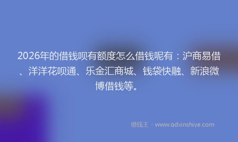 2026年的借钱呗有额度怎么借钱呢有：沪商易借、洋洋花呗通、乐金汇商城、钱袋快融、新浪微博借钱等。