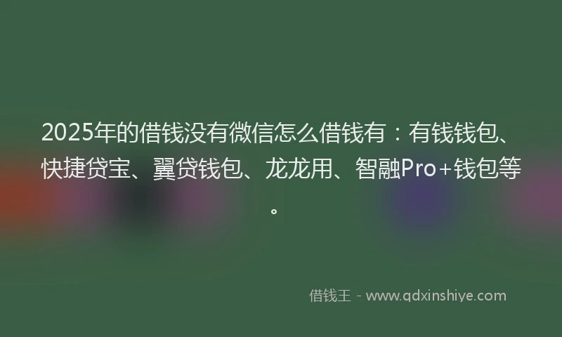 2025年的借钱没有微信怎么借钱有：有钱钱包、快捷贷宝、翼贷钱包、龙龙用、智融Pro+钱包等。