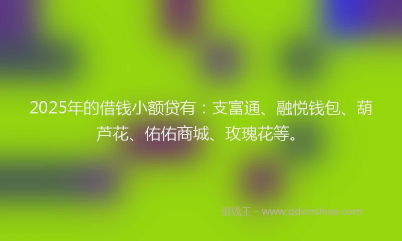 2025年的借钱小额贷有：支富通、融悦钱包、葫芦花、佑佑商城、玫瑰花等。