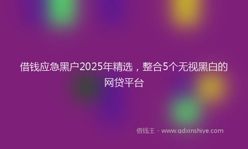 借钱应急黑户2025年精选，整合5个无视黑白的网贷平台