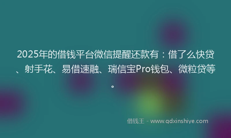 2025年的借钱平台微信提醒还款有：借了么快贷、射手花、易借速融、瑞信宝Pro钱包、微粒贷等。
