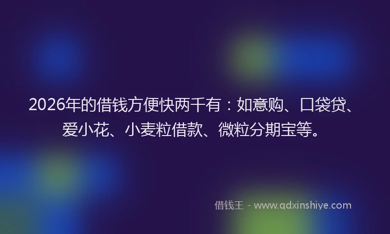 2026年的借钱方便快两千有：如意购、口袋贷、爱小花、小麦粒借款、微粒分期宝等。