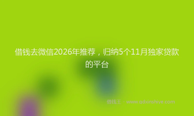 借钱去微信2026年推荐，归纳5个11月独家贷款的平台