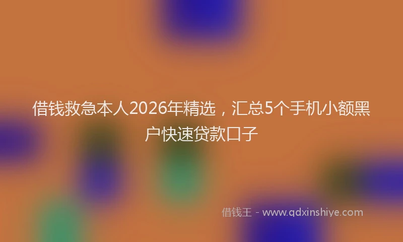 借钱救急本人2026年精选，汇总5个手机小额黑户快速贷款口子