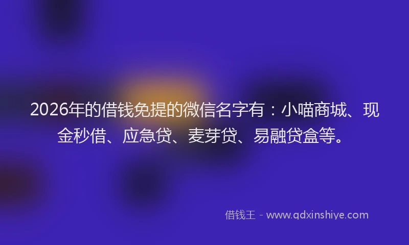 2026年的借钱免提的微信名字有:小喵商城、现金秒借、应急贷、麦芽贷、易融贷盒等。