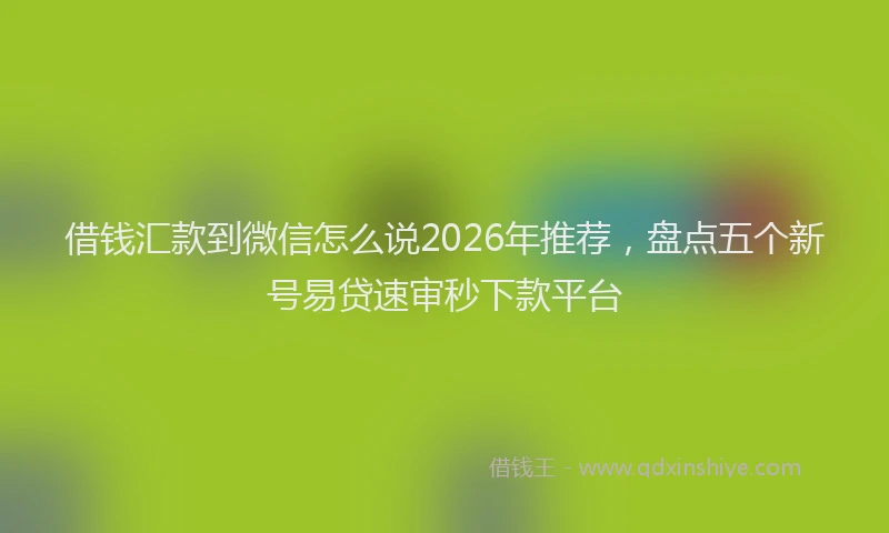 借钱汇款到微信怎么说2026年推荐，盘点五个新号易贷速审秒下款平台
